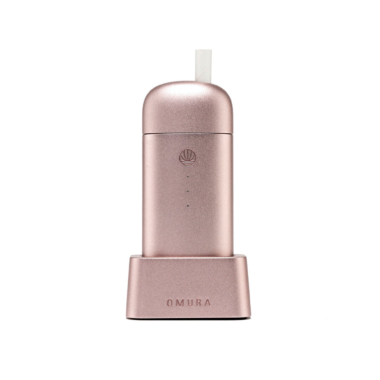 lung detox vape pen Herbal Diffuser Pen for Lung Detox and Oral Air Freshening with Extracts of  Mullein, Thyme and Mint